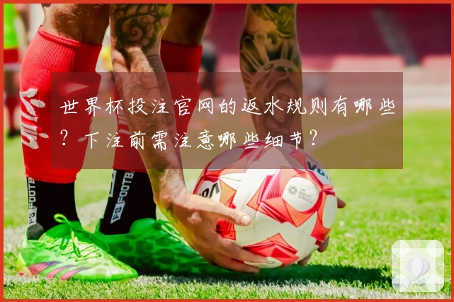 世界杯投注官网的返水规则有哪些？下注前需注意哪些细节？