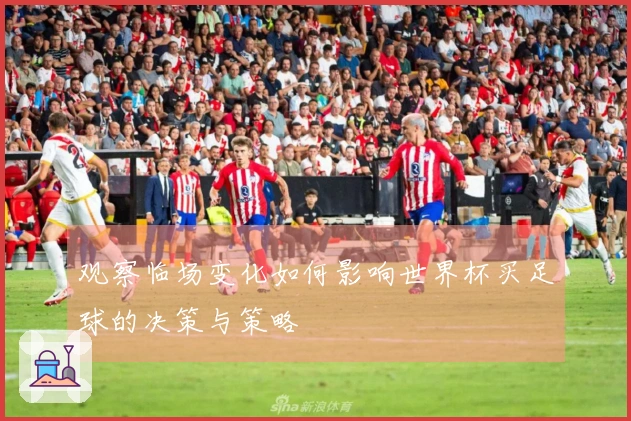 观察临场变化如何影响世界杯买足球的决策与策略
