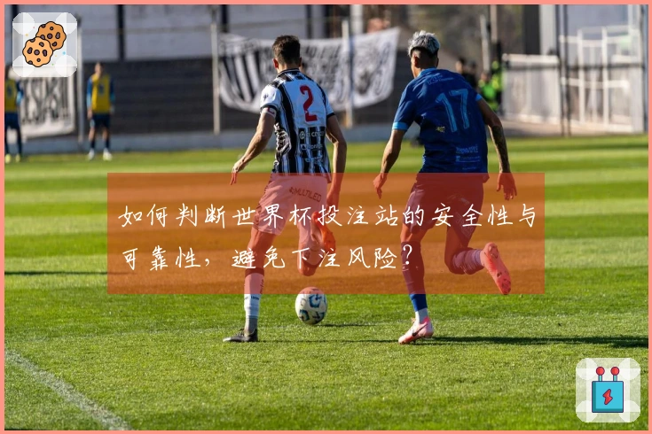 如何判断世界杯投注站的安全性与可靠性，避免下注风险？